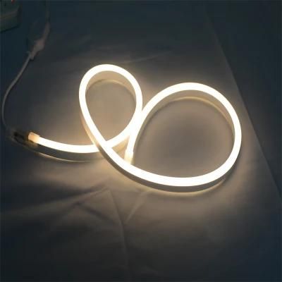 Shenzhen Factory Price SMD5050 RGB Color Christmas Lights for Home