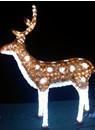 LED Motif Lighted Sika Deers for Christmas Decoration