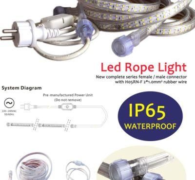AC110V or AC220V Inputting 2 Years Warranty Female and Male Connector IP65 LED Rope Strip Light