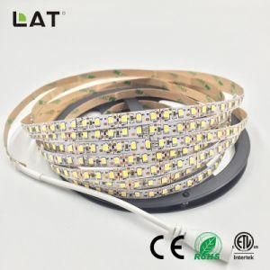 High Brightness DC12V IP20 IP65 SMD2835 Ww Cw 5m 120LEDs Flexible LED Strip Tape Ce ETL UL