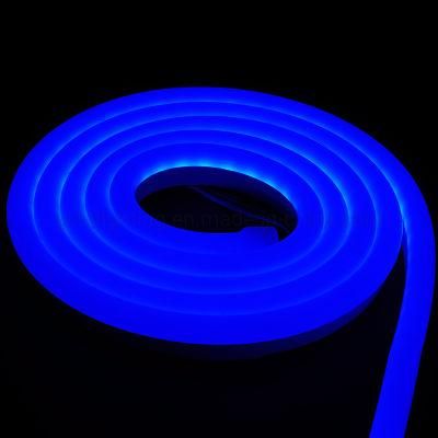 Best Quality Neon Strip 60LED/120LED/240LED DC24 Single Color LED Light Strips