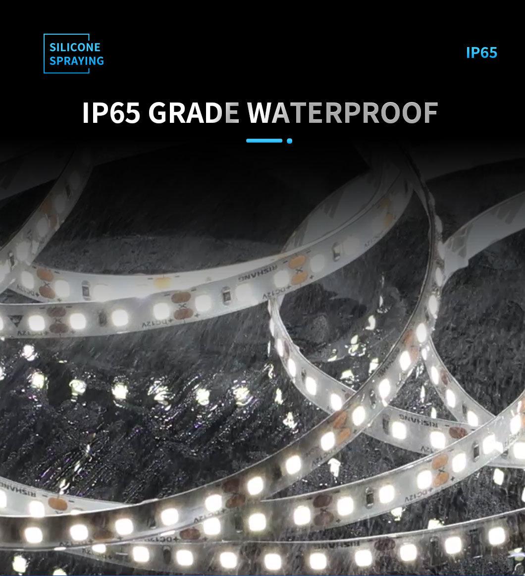 IP65 Silica Gel Coating Waterproof High Density LED Light Strip with High Quality