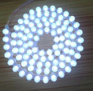 12V Great Wall Waterproof LED Silicone Strip