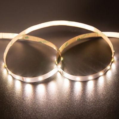 Premium Quality SMD2835 CCT LED Light 60LED/M Waterproof IP65 Outdoor Strip