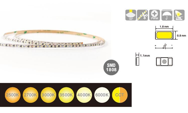 24V Dimmerble Flexible LED Strip with 240 LED Light and Lamp