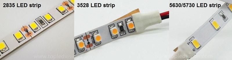 High Bright Flexible LED Strip 5m Blue 3528 60LED/M 4.8W/M