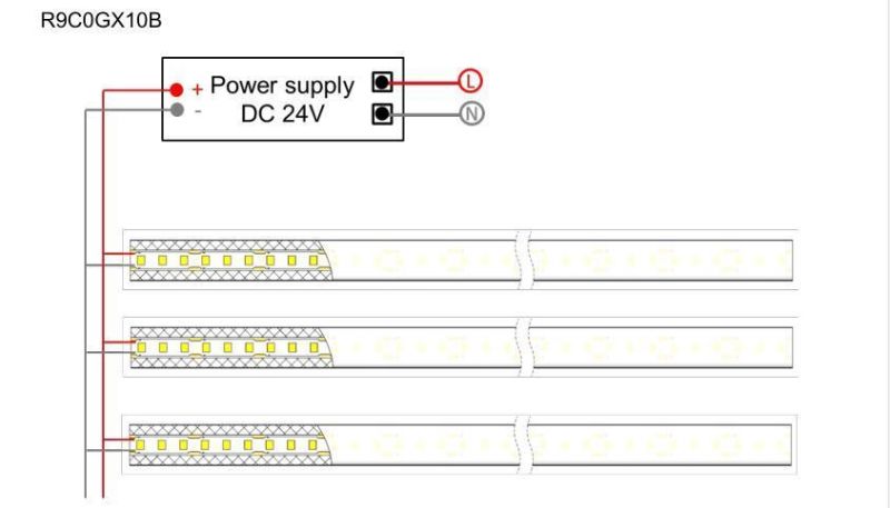 Top View 120 LEDs/Meter Flexible Neon LED Strips Factory