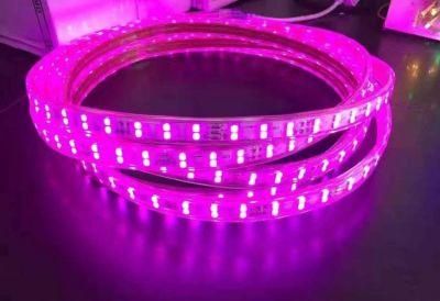 SMD2835 12V High CRI Waterproof Flexible Pink Color Indoor or Outdoor Decorated Light LED Strips