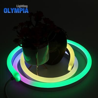 Swimming Pool 5050 Waterproof IP68 DMX Cuttable LED Strip Light