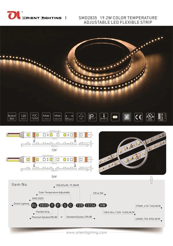 Epistar Variable White Color Temperature Adjustable LED Strip Lighting