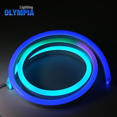 Circle Wall Light LED Neon Flex Rope Light