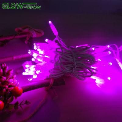 Wholesale 230V Waterproof Christmas Rubber Wire LED String Light for Outdoor and Indoor Decoration