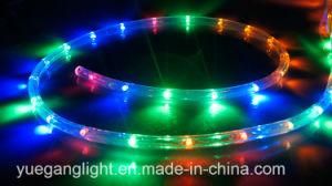 Ce &amp; RoHS Approved 10m 24LED/M Rope Light for Outdoor Use