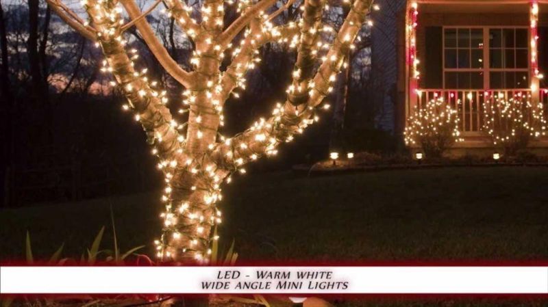 Outdoor Christmas Holiday C7 Smooth Bulbs LED Lights