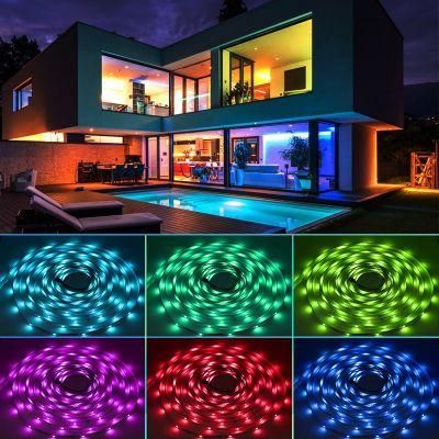 2021 New Rgbic LED Strip Factory Directly Wholesale Light for Pool and House Decoration