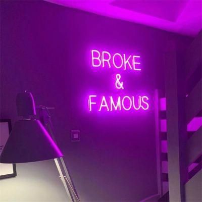 Drop Shipping 12V Flexible Electronic Custom Made Broke and Famous LED Flex Neon Sign