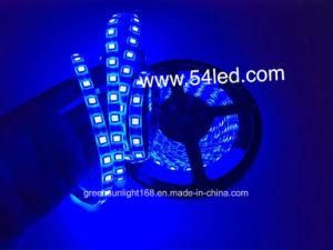 SMD LED Strip Light 60LED RGBW