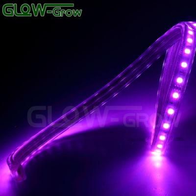 Waterproof SMD 5050 RGB Sync LED Strip Light for Bar Decoration