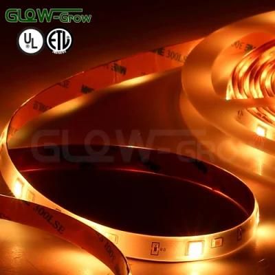 5050 UL Listed 24V LED RGBW Strip Light for Bar Decoration