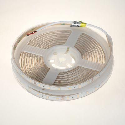 LED Strip Light 5630 6500 K