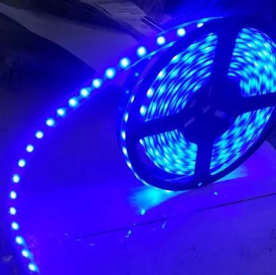 SMD5050 30LEDs 60LEDs Low Voltage DC 12V 24V Waterproof Flexible LED Strip Lights