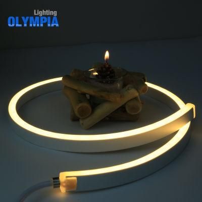 Ce and RoHS Waterproof IP68 SMD5050 LED Strip Light