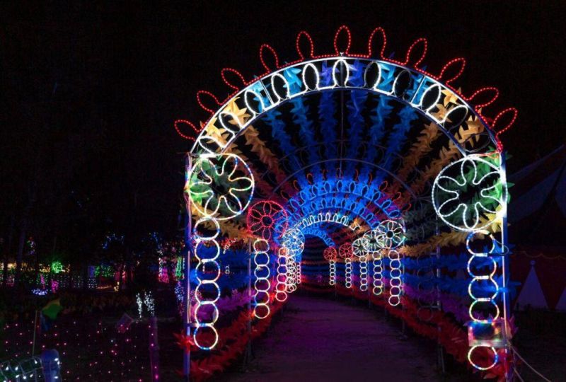 Outdoor Decoration Colorful Lights Festical Light LED Rope Lights