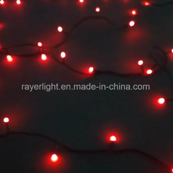 Addressable LED String Lights DMX Controlled Outdoor Christmas Lights