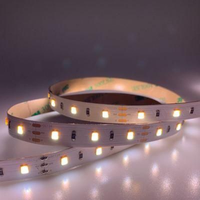 Free Sample Super Bright SMD2835 CCT LED Flex Strip Light