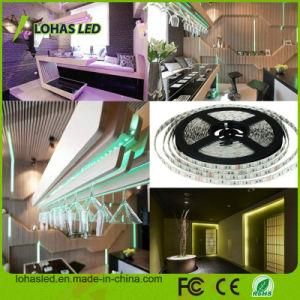 LED Lighting DC12V Waterproof RGB Rgwbw LED Strip Light Kit