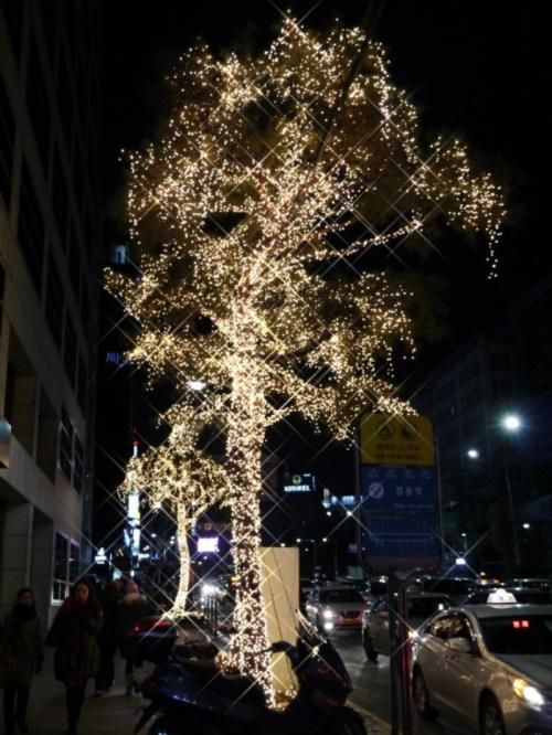 Christmas Decorative Twig Lights Traders LED Tree Decoration LED Tree Lights