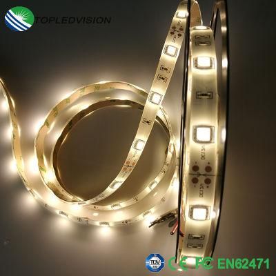 High Bright 30LED/M (IP20 or IP65 or IP68) Flexible SMD5050 LED Strip with 2 Years Warranty