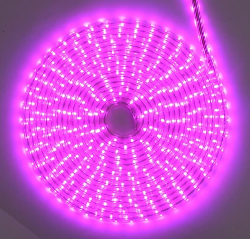 5050/3528 60LEDs/M 660nm Pink Color LED Strip Light