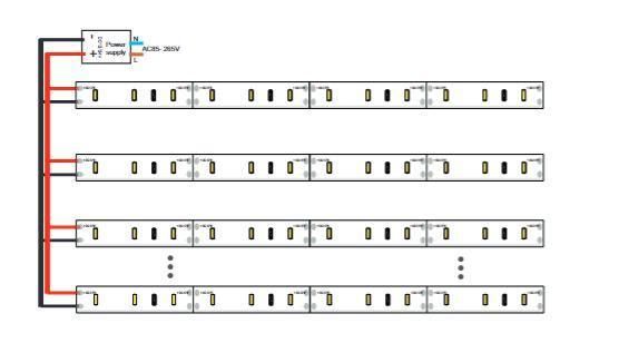 6mm 168LEDs/M 24V High Brightness SMD 3014 LED Light Strip