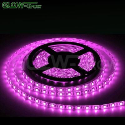 5m 60LEDs/M 4.8W/M IP44 Flexible 5050 SMD RGB Strip Light LED 12V for Bar Wedding Home Party Holiday Decoration