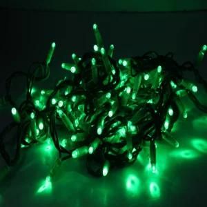 Low Voltage IP65 24V Red/Yellow/Blue/Green/Pink/White/Warm White LED String Light for Outdoor Decoration