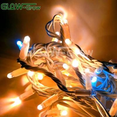 Holiday Outdoor 10m 220V 110V 100 LED String Lights for Christmas Xmas Wedding Party Decorations Garland Lighting with Blue Flash Bulb