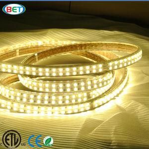 ETL/120V High Lumen Double Line LED Strip Rope Lighting 5050