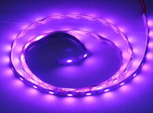 5050 Pink (m/60lights) LED Flex Light