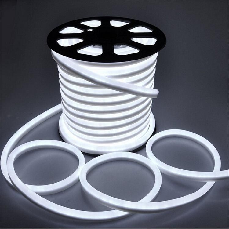 Factory Direct Sale DC12V White Color LED Flexible Strip Neon