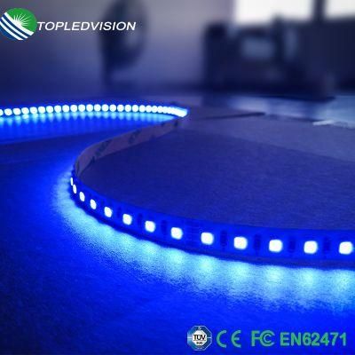 High Bright Flexible LED Strip 5m Blue 3528 60LED/M 4.8W/M