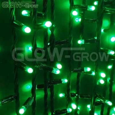 IP65 UL Rubber Cable LED Christmas Curtain Light for Holiday Decoration