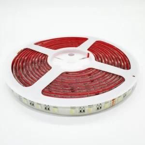 12V 24V Waterproof SMD5050 RGBW Flexible LED Strip with Ce RoHS