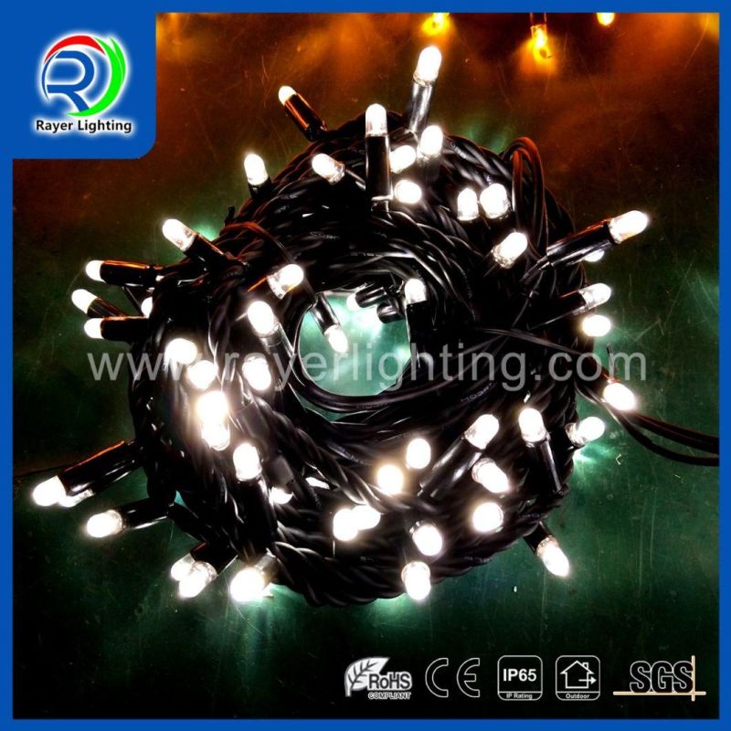 Holiday Light Christmas Lighting Outdoor Decoration Fairy Lights LED String Light