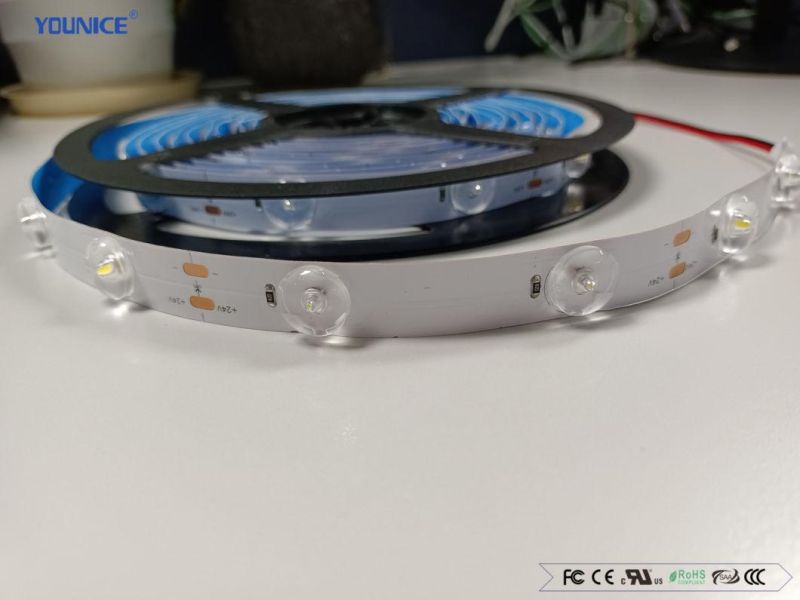 Advertising Curved Light Box LED Light Source Optical Lens LED Flexible Strip