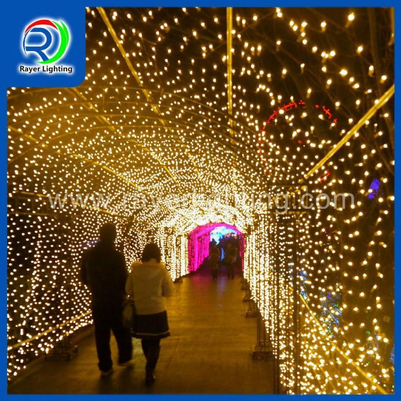 Digital Programmable Lighting Decorationchristmas Lights LED Net Light