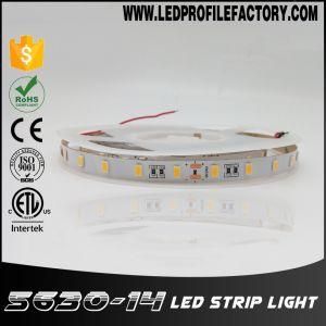 5630 365nm UV Digital COB LED Strip