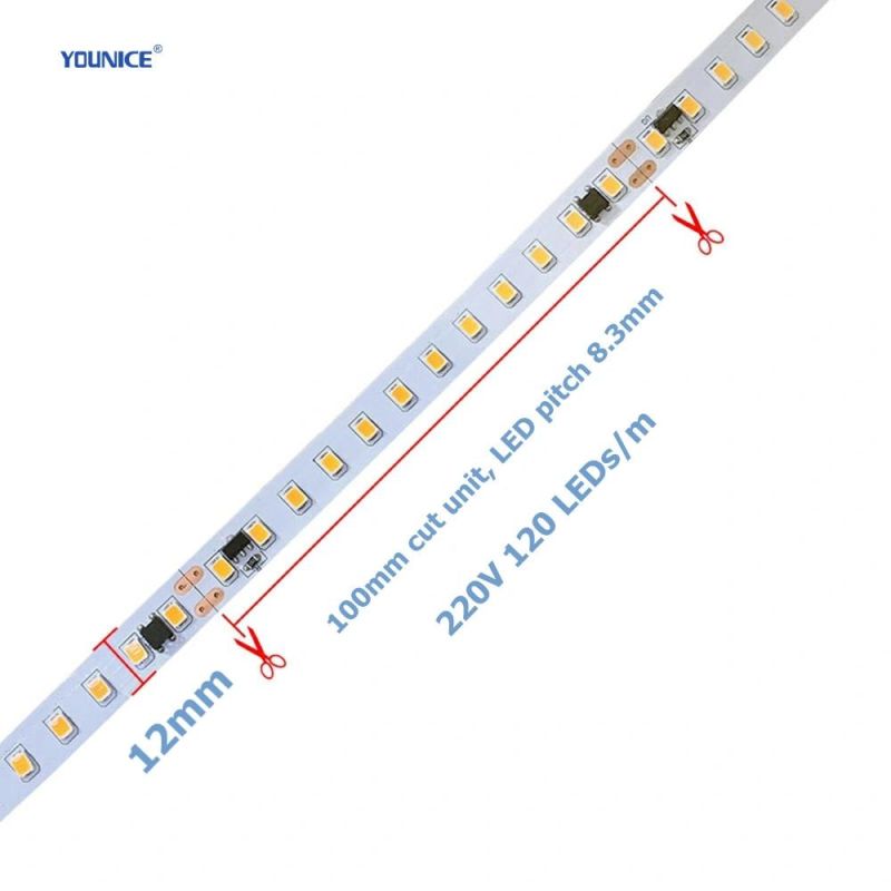 Factory Wholesale 220V High Voltage IP65 Waterproof LED Flexible Strip Light