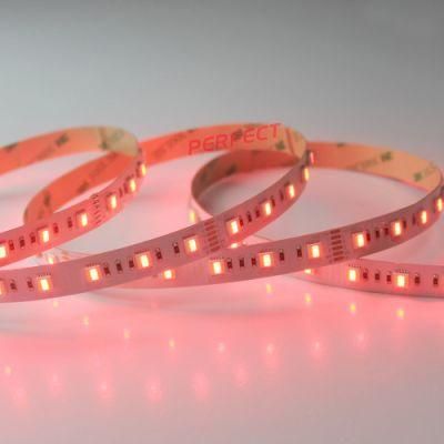 Factory Price Rgbww 5in1 IP20 LED Strip 5050 60LEDs/M 5m IP20 IP65 IP67 LED Strip Light