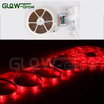 RoHS GS LED 12V Flexible RGBW LED Strip